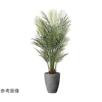 �i�`�������A���J�p�[���@�P�D�V�T�@�Q�T�O