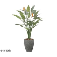 �i�`�������X�g���`�A�ԕt�@�P�D�V�@�Q�T�Q