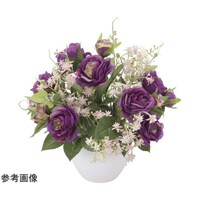 �p���t�F�@�Q�T�V�Q�`�S�W