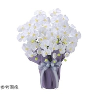 �Ӓ����@���T�z���^�v�@�Q�S�U�S�`�W�O