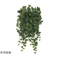 �ǖʗΉ��A�C�r�[�@�S�S�Q�b�V�O
