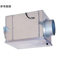 �X�g���[�g�_�N�g�t�@���@�c�u�r�|�S�O�r�x