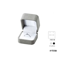 �j���[�Z�[���@�����O�E�C�������O�E�y���_