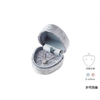 �u���C�_���@�s�A�X�E�y���_���g�P�[�X�@�V
