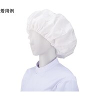 �V���K�[�d�ΖX�r�q�|�Q�O�@�z���C�g�@�P�O