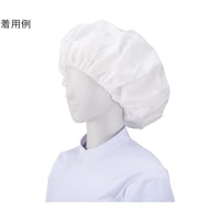 �V���K�[�d�ΖX�r�q�|�Q�O�@�z���C�g�@�P�O
