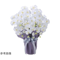 ���̊y���@���G�}���H�A�[�g�t�����[�@�Ӓ����@���T�{���@���R�S�R�S�P