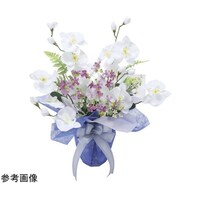 ���G�}���H�A�[�g�t�����[�@���a�@���R�S�R