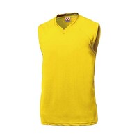 �x�[�V�b�N�o�X�P�b�g�V���c�@�C�G���[�@�P�T�O�@�o�P�W�P�O