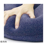 �v���~�A���{�f�B�W���C�E�~�f�B�A���@�l�C