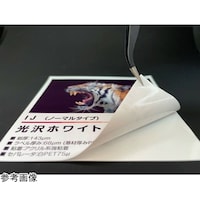 �������������������i���҂�����j�C���N�W