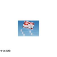 �V�����X�^�[�t���X�g�������i�s���N�j�@�T