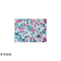 �T�C�g�L���b�`�X���C�h�i�C�G���[�j�@�Q�O
