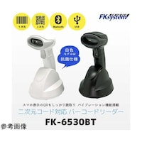�P�c�^�Q�c�����X�L���i�a����������������