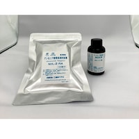 �A�����j�A�����f���莎��Z�b�g�@�m�g�S�|