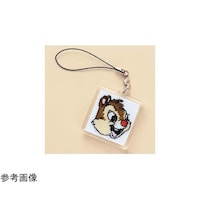 �X�g���b�v�����イ�L�b�g�@�f�[���@�r�s�|