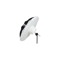 �A���u�����@�l�p�f�B�t���[�U�[�@�P�O�O�X�X�P�@�P�O�O�X�X�P