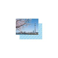 �J�o�[�A���o���������Q�k�T�C�Y�@�����X�J