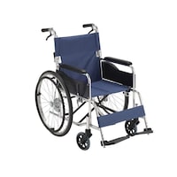 �Ԃ����q�v�|�T�O�i�������E�w�܂�^�C�v�j