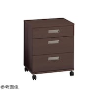 �L���X�^�[�t���`�F�X�g