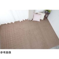 �s�[�X�J�[�y�b�g�@�z�[���~�X�g�@�{�ԂW���@�x�[�W���@�P�R�P�R�V�W�T�X