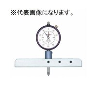 �_�C�����f�v�X�Q�[�W�@�T�����@�󒍐��Y�i