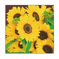 �L�����o�X�@�o���������@�q�}�����@�r�R�O