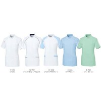 �C���C�g�b�v�X�@�P�T�@�o�j���~�l�C�r�[�p�C�s���O�@�S�k�@�t�p�l�P�O�O�P