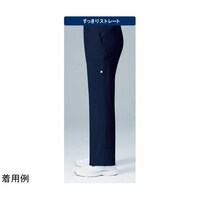�C���C�{�g���X�@�T�@�l�C�r�[�@�r�@�t�p�l�Q�O�O�P�u