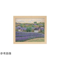 �N���X�X�e�b�`�^�h���イ�L�b�g�@�t�����[