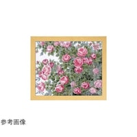 �N���X�X�e�b�`�^�h���イ�L�b�g�@�I�m�G�E���O�~�@�����ׂ��Ԃ����@�I�[���h���[�Y�@�n�k�x�|�j�V�S�T�O