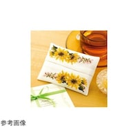 �N���X�X�e�b�`�^�h���イ�L�b�g�@�m�Ԏh���イ�̗D���������n�@�e�B�b�V���P�[�X�E�Ђ܂��@�n�k�x�|�j�X�O�P�U