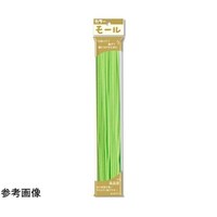 �J���[���[���@�P���i���a�R�����j�@�����΁@�P�P�[�X�i�P�O���j�@�P�P�O