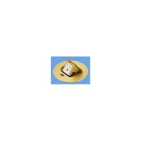�A�b�v�R���t���b�g�@�P�p�A�[�X�t�@�c�t