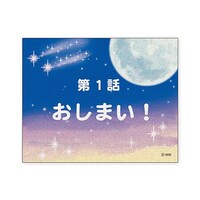 �X�e�b�J�[�I�V�}�C�~�P�O