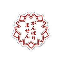 �X�e�b�J�[�K���o���}�Z���~�P�O