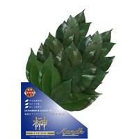 �v���~�A���v���U�[�u�h��l�u�i�{�����[���łP�΁j