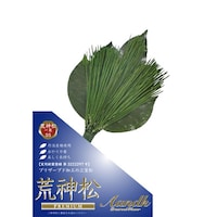 �`���j�@�v���U�[�u�h�r�_��
