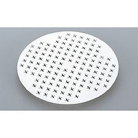 �p���X�����W�e��@�ۗp�ڎM
