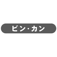 �t���b�v�p���ʃV�[���r���E�J���@�d�`�S�P