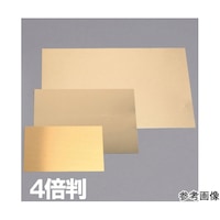 �G�b�`���O�v���[�g�@�͂������@�P�O�O�~�P�T�O�@�O�Q�P�T�Q�P�@���Q���ȏォ�璍���\�i�̔����i�͂P���P�ʂ̉��i�j