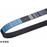 �O�c���x���g�@���K�g���N�f�@�^�C�~���O�x���g�@�l�s�r�P�S�l�`�E���d�x�����S���@�S�O�O�l�s�r�P�S�l�P�Q�W�W