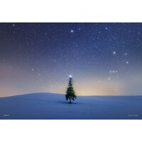 �p�Y���@�V���E�X�̃c���[�i�k�C���j