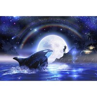 �p�Y���@�I���J���[���R