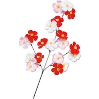 �J���t����~�X�v���[