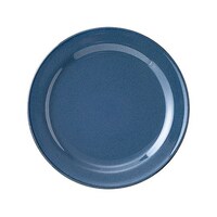 �g�[���J���[�@�Q�T�����f�B�i�[�M�@�u���[