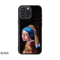 �A�C�L���X�@�V�R�L�P�[�X�@�������@���o���������@�P�U�@�o�����@�l�����@�^��̎�����̏����@�h�Q�V�O�X�Q���P�U�o�l