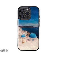 �A�C�L���X�@�V�R�L�P�[�X�@�������@���o��