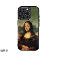 �A�C�L���X�@�V�R�L�P�[�X�@�������@���o���������@�P�U�@�o�����@���i�E���U�@�h�Q�V�P�P�W���P�U�o�q