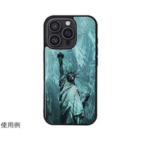 �A�C�L���X�@�V�R�L�P�[�X�@�������@���o���������@�P�U�@�o�����@���R�̏��_�@�h�Q�V�P�Q�Q���P�U�o�q